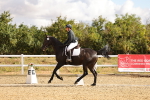 SBM_003343