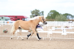 SBM_04010
