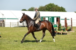 SBM_18342