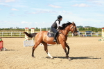 SBM_005062