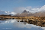Solace On A Winters Day