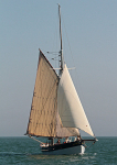 110930 TALLULAH FALMOUTH IMG_9775