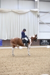 SBM_007628