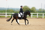 SBM_005071