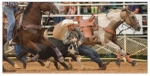 Steer Wrestling 4