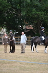 WJ6_8983