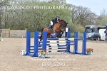 BPP_5290