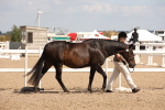 SBM_04519