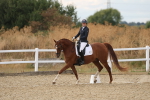 SBM_011990