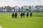 100426-Race 5-Myal-3373