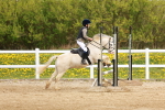 SBM_003889