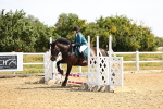 SBM_000681