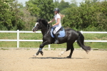 SBM_012343