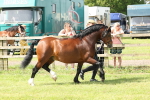SBM_02208