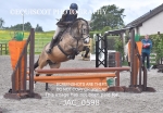 JAC_0598