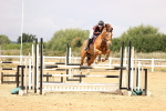 SBM_026208