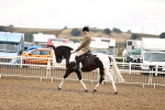 SBM_00645