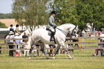 SBM_16090