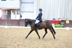 SBM_020531