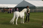 SBM_00581
