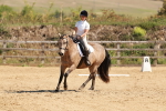 SBM_010644