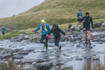 Langdale-786