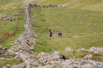 Ennerdale-565