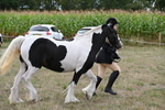 WJ6_5726