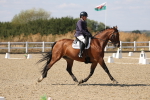 SBM_022494