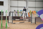 SBM_001981