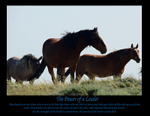 Power of a Leader Poster with Border JULY 2016
