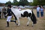 WJ6_8105