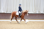 SBM_000484