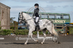 Dressage_29-09-2018-25
