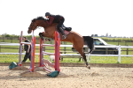 SBM_005029