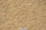 230409A-104038-00375