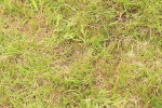 SBM_10422