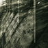 Dialogue with Broken Purity