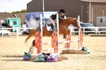 SBM_003034