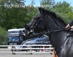 BPP_7311