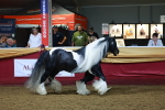 SBM_14898