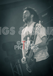 Pigsx7-86