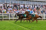 Race 5 15.10pm David Lever Memorial Handicap portfolio