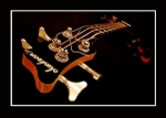 Jackson 1