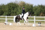 SBM_017982