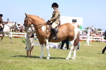 3E7A9150