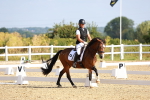 SBM_008314