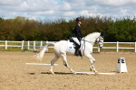SBM_000481