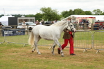 SBM_04265