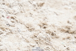 250420A-134754-01017